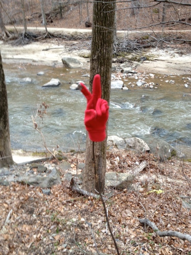 Peace sign, red glove on sapling, February 10, 2013